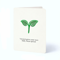 You Just Grew Your Own Baby Bean Sprout
